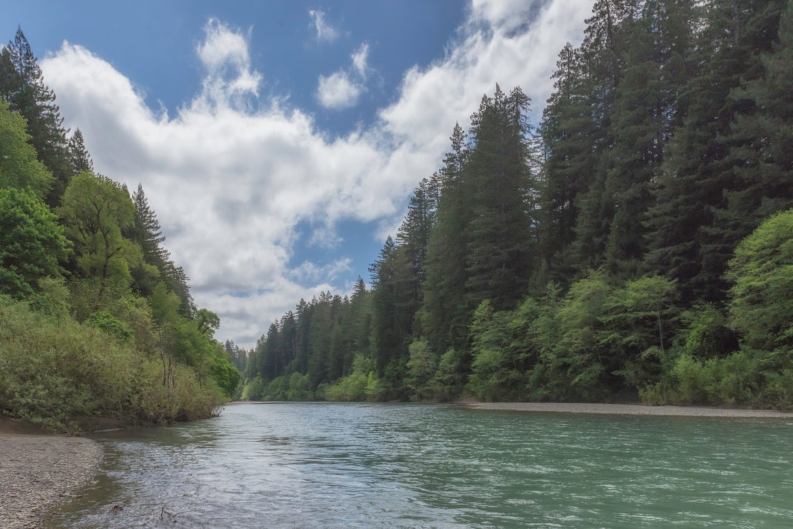 A greenish river is lined by trees on both sides on a partly cloudy day.