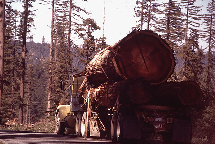1970s