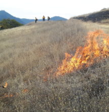 Laura Lalemand lighting a test fire.