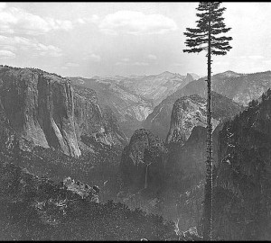 Yosemite Valley – 1866. Photo by Carleton Watkins