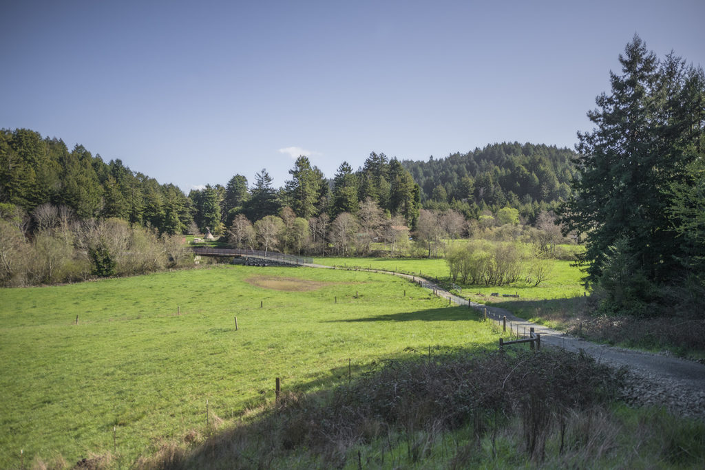 Westfall Ranch is protected from commercial logging and development. Photo by Mike Shoys.