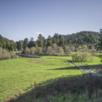 Westfall Ranch is protected from commercial logging and development. Photo by Mike Shoys.