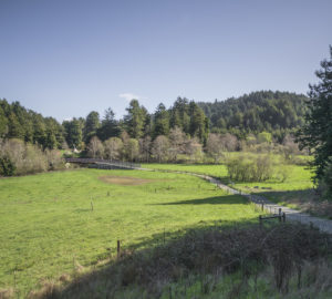 Westfall Ranch is protected from commercial logging and development. Photo by Mike Shoys.