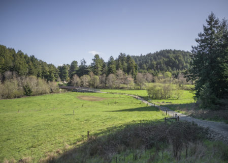 Westfall Ranch is protected from commercial logging and development. Photo by Mike Shoys.