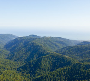 Photo of Big Basin area © 2011 William K Matthias