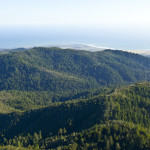 San Vicente Redwoods