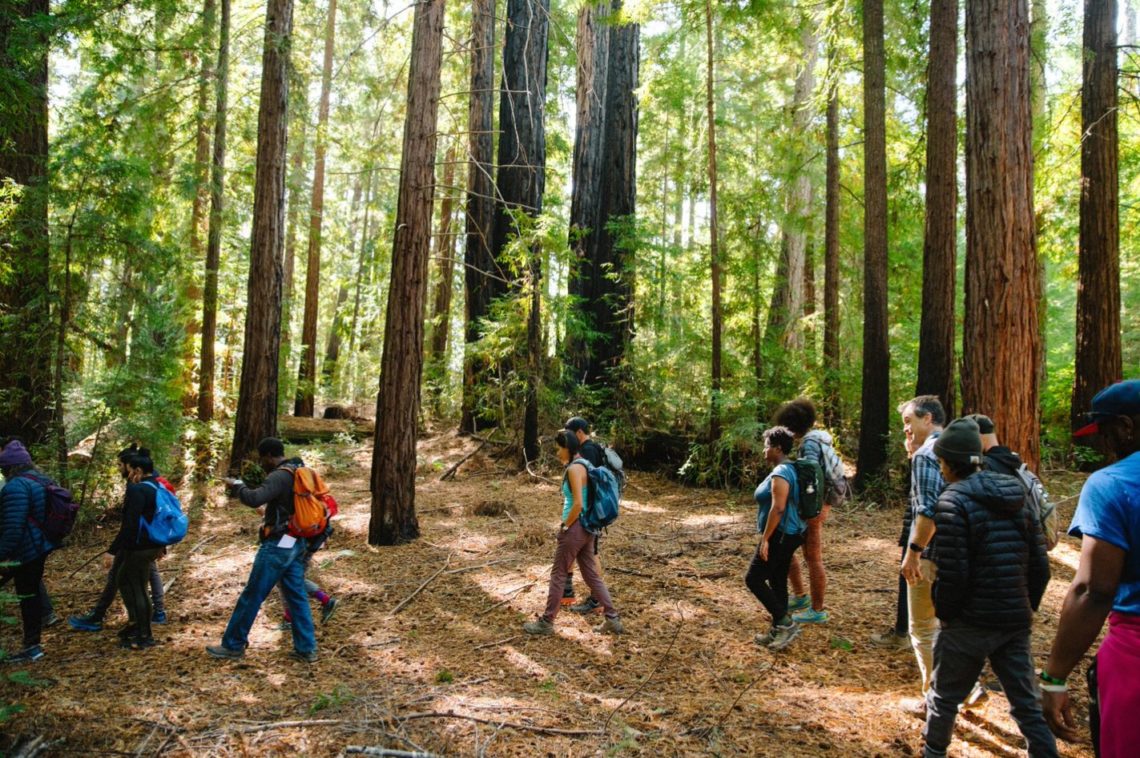 Save the Redwoods and outdoors advocates from underrepresented communities visit the League’s Harold Richardson Redwoods Reserve. Photo by Wondercamp