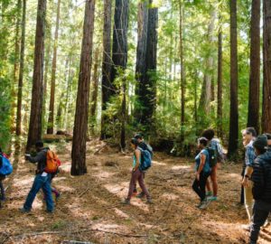 Save the Redwoods and outdoors advocates from underrepresented communities visit the League’s Harold Richardson Redwoods Reserve. Photo by Wondercamp