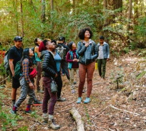Connecting communities and redwoods