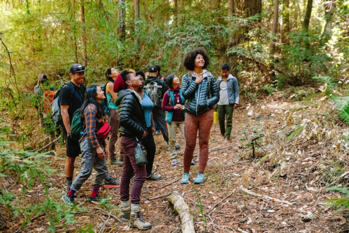diverse group of people on a redwood forest