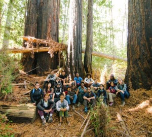 diverse group of people surrounded by redwood trees