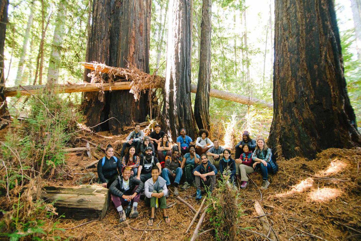 Harold Richardson Redwoods Reserve