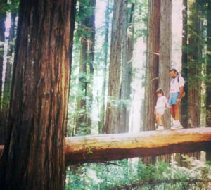 League Conservation Programs Associate, Adrianna Andreucci​, visits Humboldt Redwoods State Park as a child.