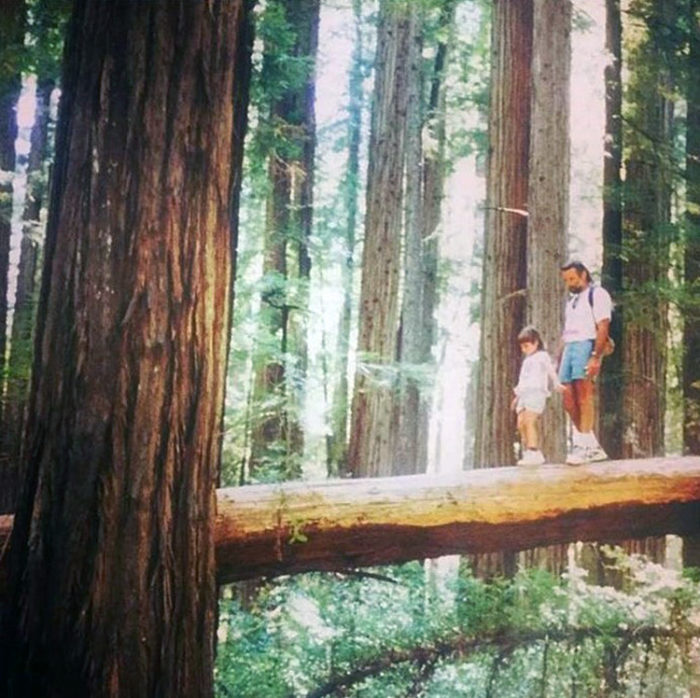 League Conservation Programs Associate, Adrianna Andreucci​, visits Humboldt Redwoods State Park as a child.