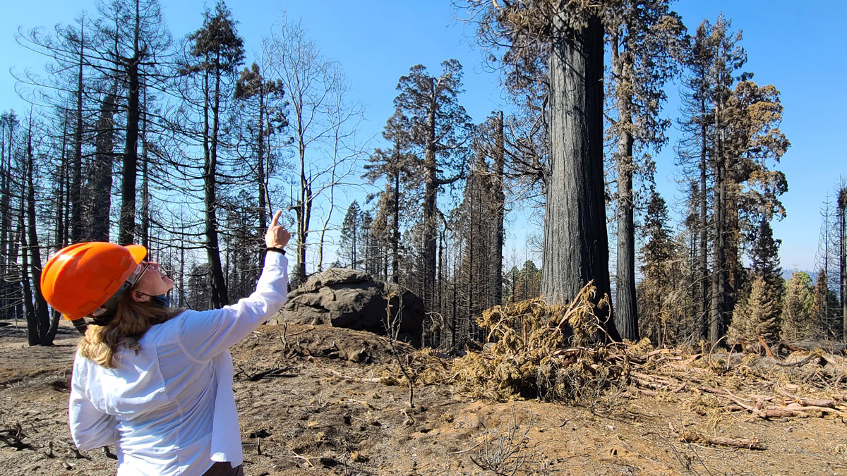 Suzanne Moss on Alder Creek after a wildfire