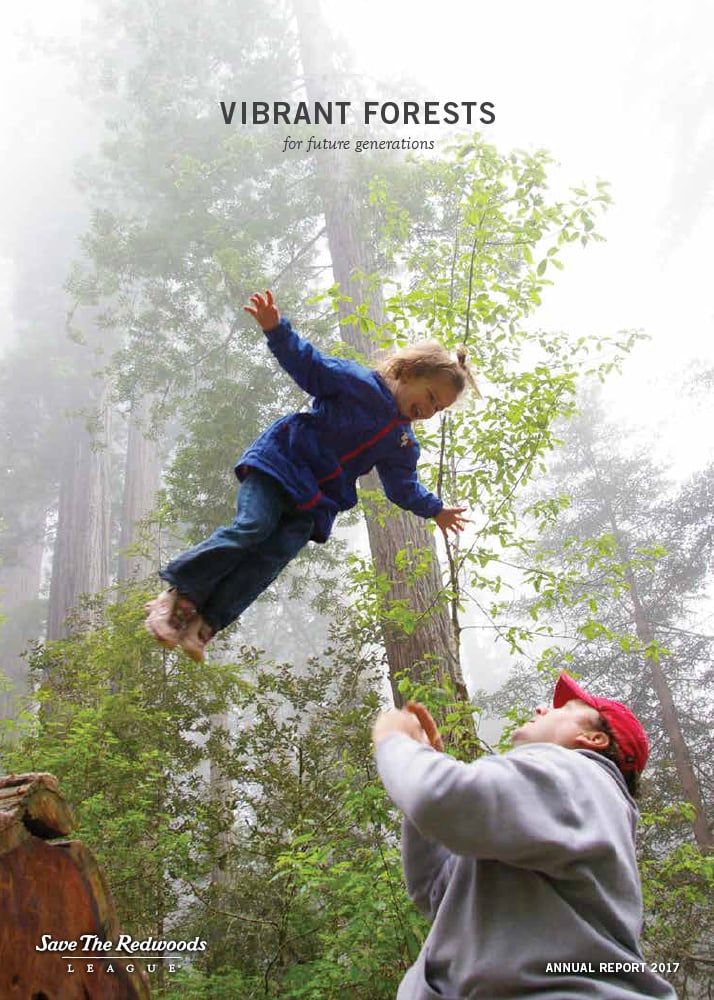 With her heart and body soaring, a child experiences the wonder of Lady Bird Johnson Grove in Redwood National Park. Save the Redwoods League shared the thrill of places like this with the next generation of conservationists, connecting 7,300 students to the redwood forest through our education programs and welcoming 35,000 visitors to redwood and other parks on Green Friday, the day after Thanksgiving.