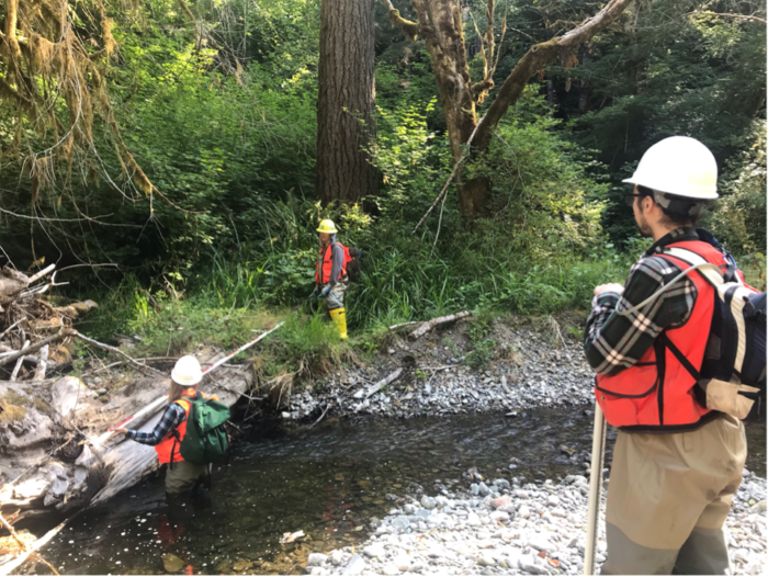 redwoods rising apprentices