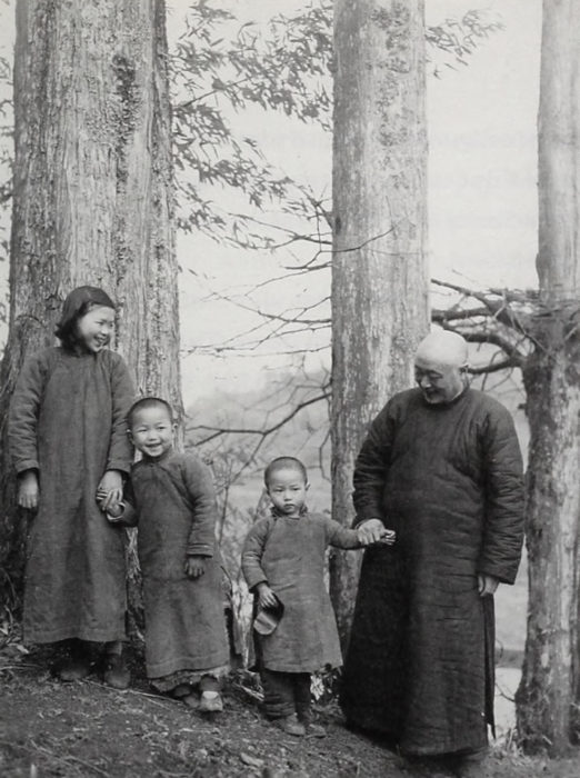 dawn redwoods family