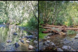 A stream before and after a large wood installation.
