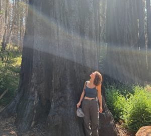 My first visit to the redwoods: Mamma Mia!