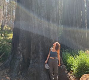 A woman stands at the base of a large blackened coast redwood tree trunk, looking up.