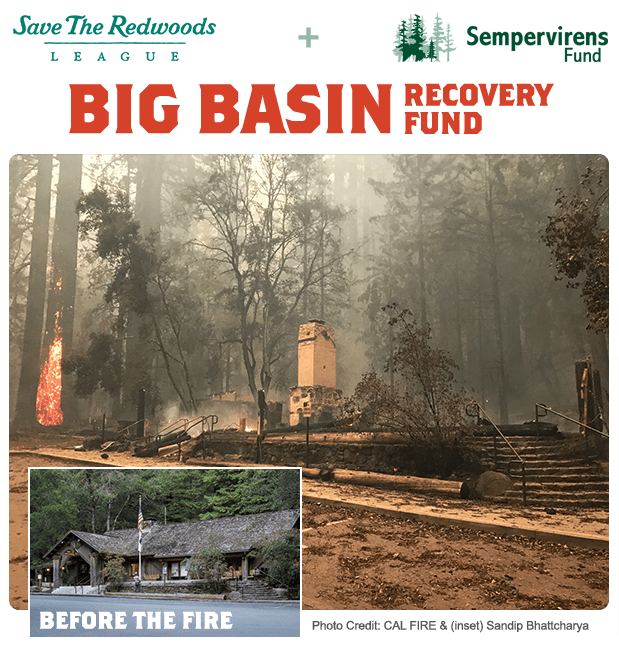 big basin fund