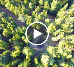 Looking down on our restoration site from above. Photo by Anthony Castaños