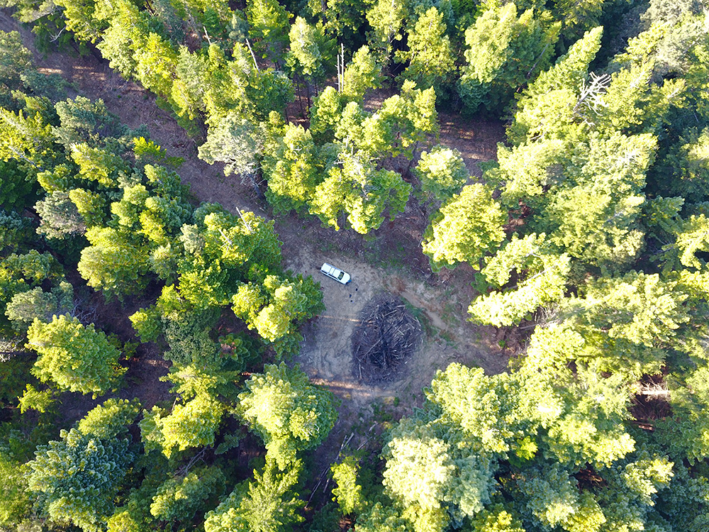 Looking down on our restoration site from above. Photo by Anthony Castaños