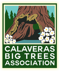 Calaveras Big Trees Association