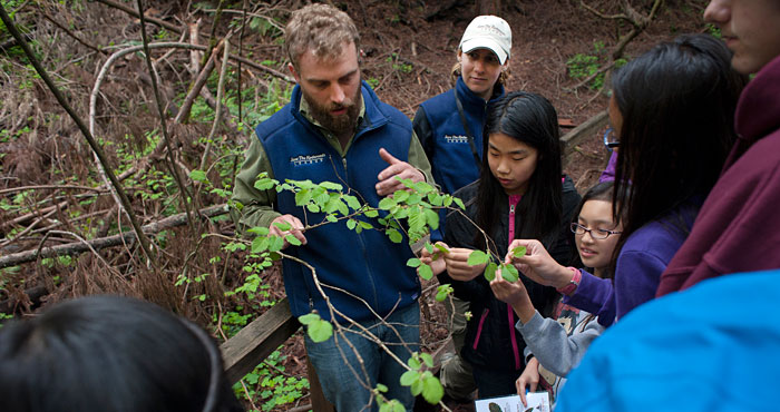 Students at the 2014 BioBlitz in Muir Woods help the League collect important forest data.