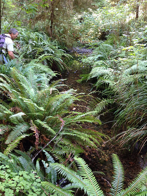 Lowell hiking within RNSP and contemplating wildlife protection and forest restoration.