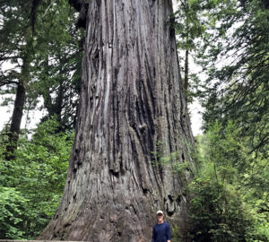 Aiden Conway visit the redwood forest for the first time.