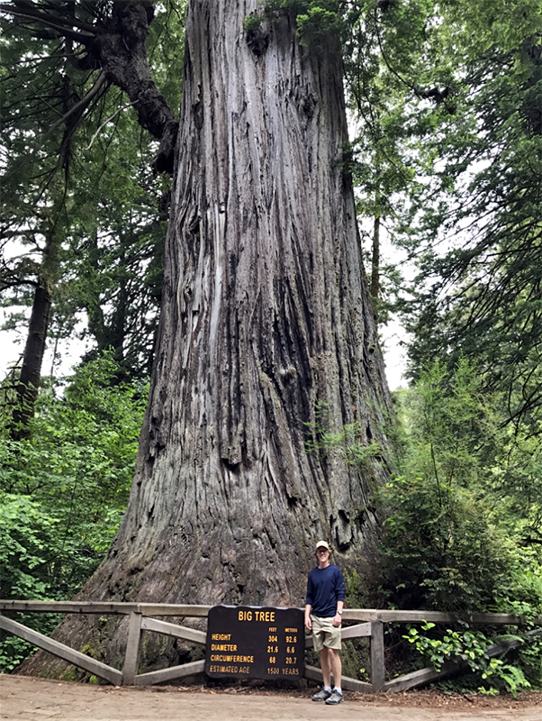 Aiden Conway visit the redwood forest for the first time.