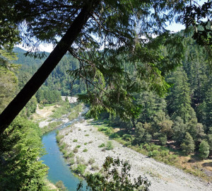 Eel River at Standish-Hickey State Recreation Area.