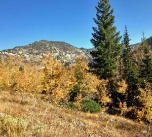 Hiking in the Wasatch Range east of Salt Lake City.