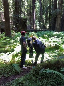 Emily looking good for a camera crew at Montgomery Woods State Park.