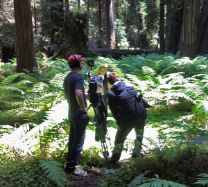 Emily looking good for a camera crew at Montgomery Woods State Park.