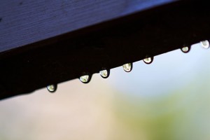 Rain drops glisten on a fence post after winter rain.