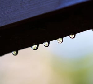 Rain drops glisten on a fence post after winter rain.