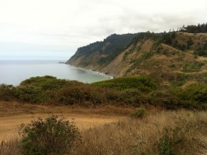 A view of the Lost Coast from Shady Dell .