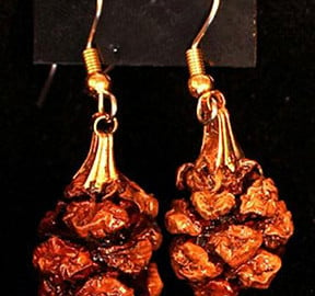 Genuine redwood cone earrings