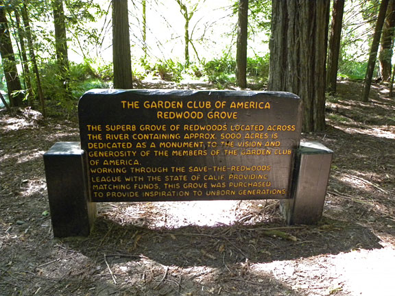 The Garden Club Of America Grove Save The Redwoods League