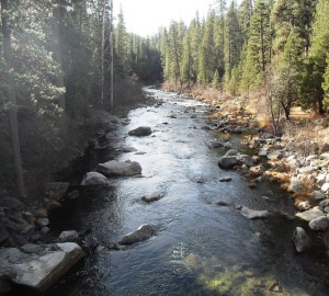 Calaveras Big Trees State Park