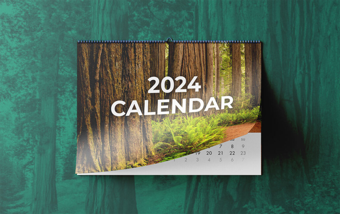 Cast your vote for our 2025 calendar Save the Redwoods League