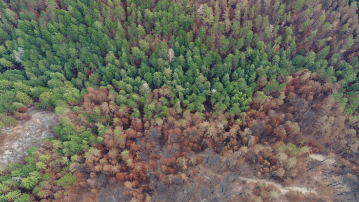 Aerial view of Cascade Creek