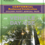 Centennial Redwood Celebration Golden Poppy Annual Pass