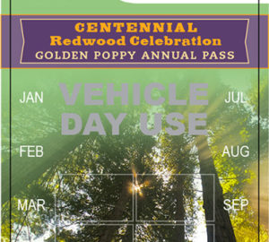 Centennial Redwood Celebration Golden Poppy Annual Pass
