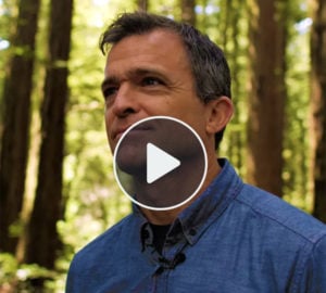Saving California's redwoods, one tree at a time. CNET video.