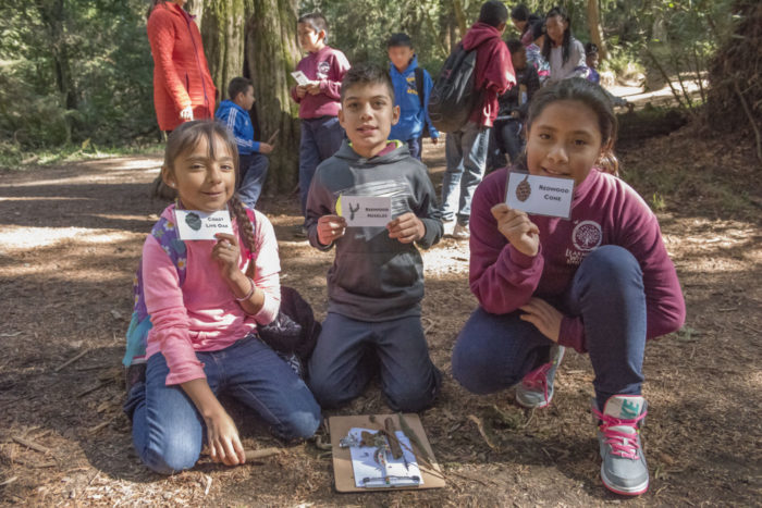 Group of children studying the redwoods