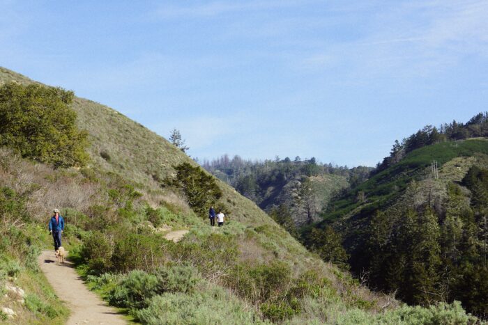Hikers head down a trail next to a green canyon.